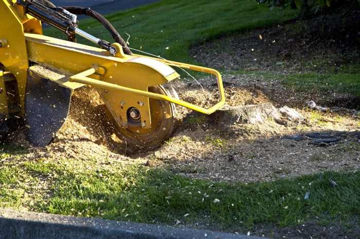 stump grinding canberra